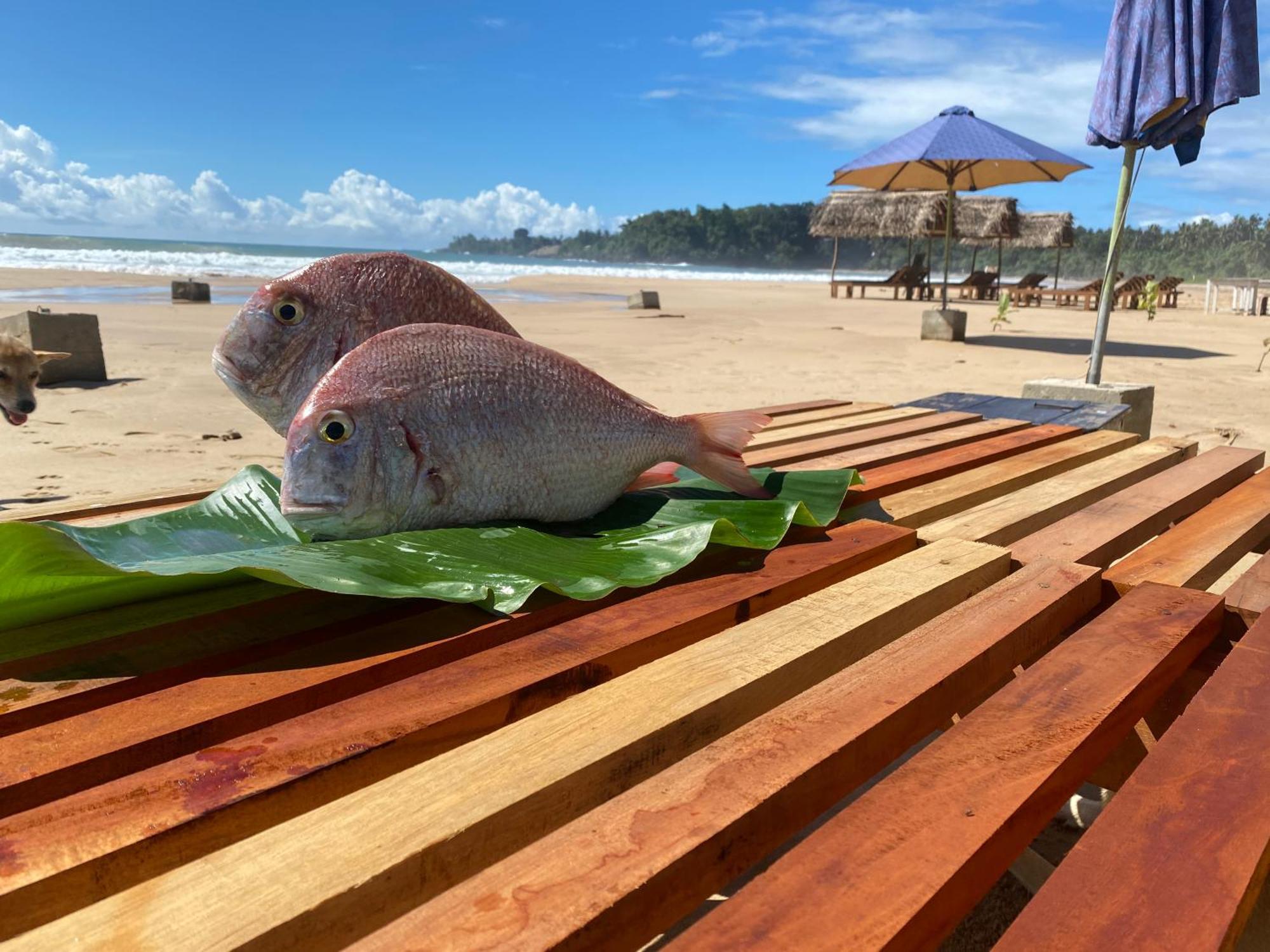 Talalla Bay Beach Extérieur photo