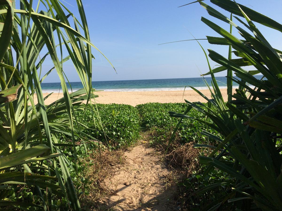 Talalla Bay Beach Extérieur photo